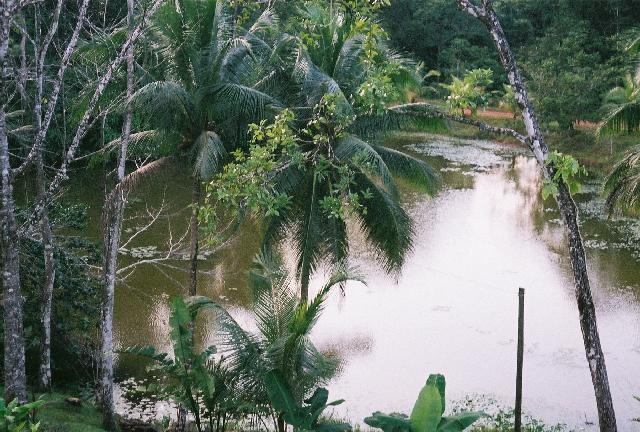 lagoon.jpg