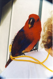 ppcb76fe15.jpg