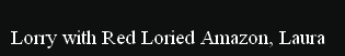 pp9b647433.png