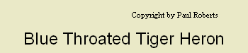pp7642c2db.png