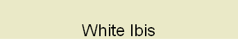 ppa50d4954.png