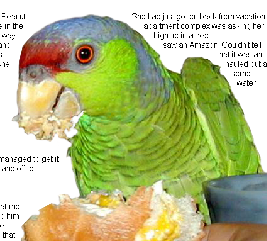 pp28245686.png