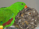 pp5d3ae920.png