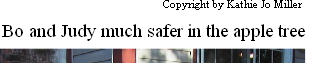 pp10e808f5.png