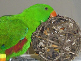 pp43c4c380.png