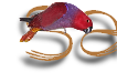 pp43b0581f.png