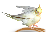 pp9048621d.png