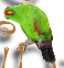 ppdd122fe0.png