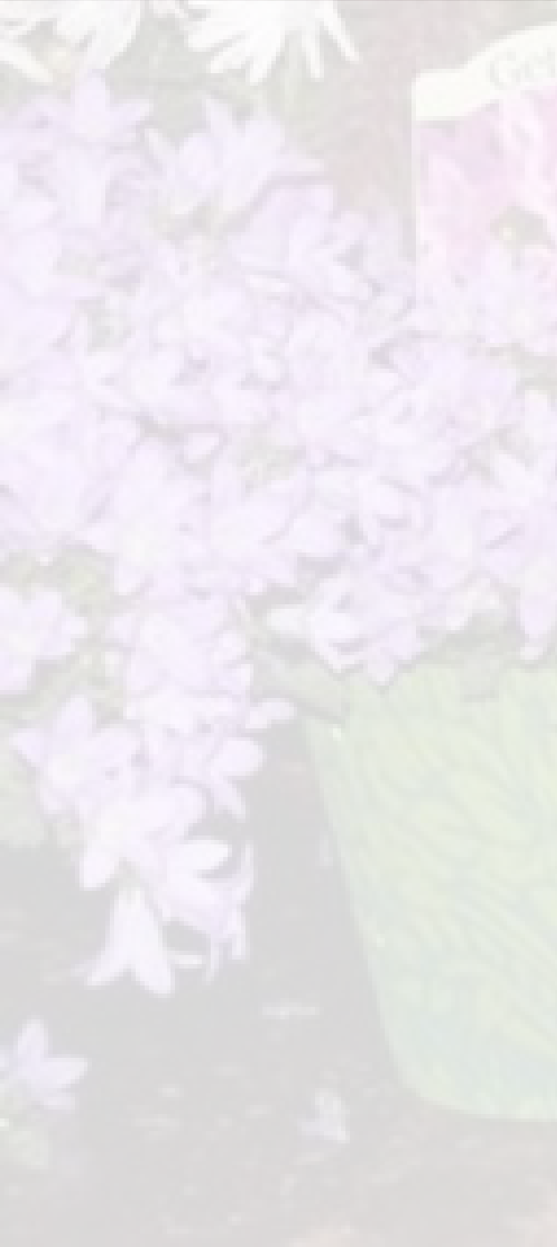 ppd93dc446.png