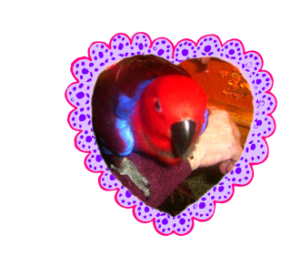 pp96999eb6.png