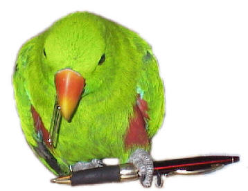 pp6e78eeba.jpg