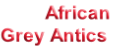 pp5e59d313.png