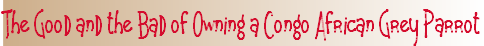 ppc1f0fa52.png