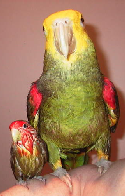 pp167d10b7.png