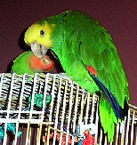 pp630351f2.png