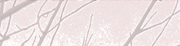 pp0c0563c8.png