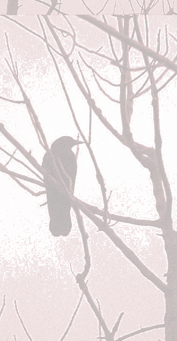pp52a6831e.png