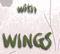 pp9131c4aa.png