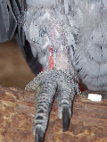 ppb091f067.png