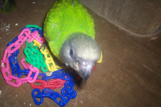 pp5b879250.png