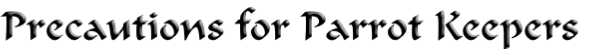 pp0251bd09.png