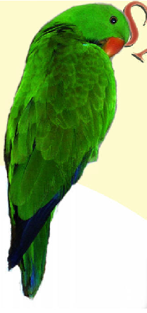 ppb71f2e2f.png