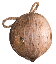 pp89035c89.png