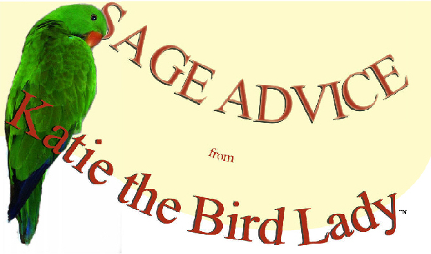 ppe50d9e31.png