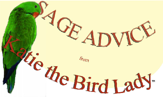 ppb5cfab1b.png