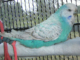 pp7473b2b4.png
