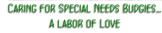 pp9a1554aa.png