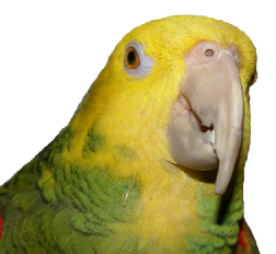 pp5373364e.png
