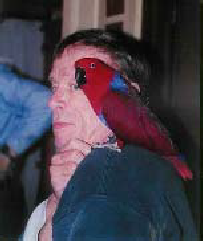 pp992eef04.png