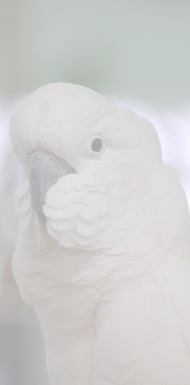 pp8bffc3e4.png