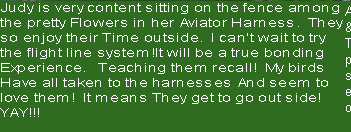 ppad0d4431.png